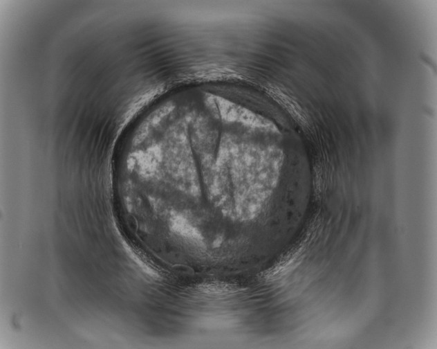 X0000098000630200804141208