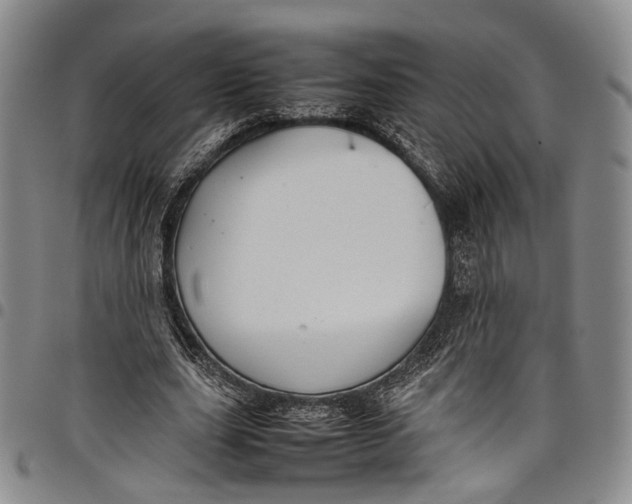 X0000098000631200804141208