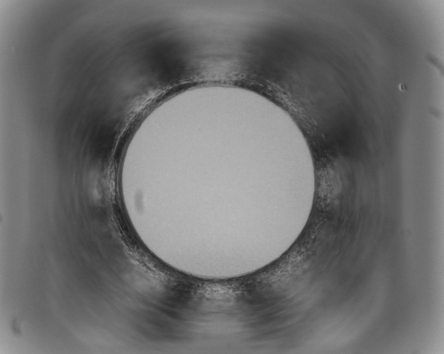 X0000098000632200804141208