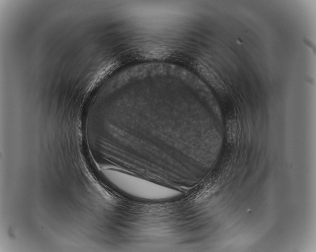 X0000098000634200804141208