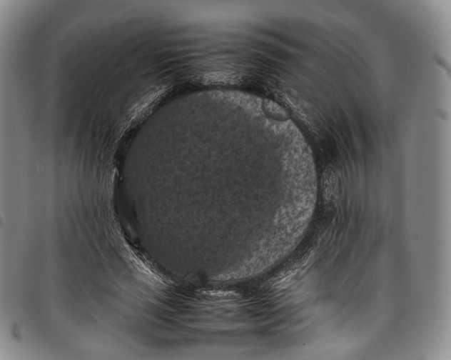 X0000098000637200804141208