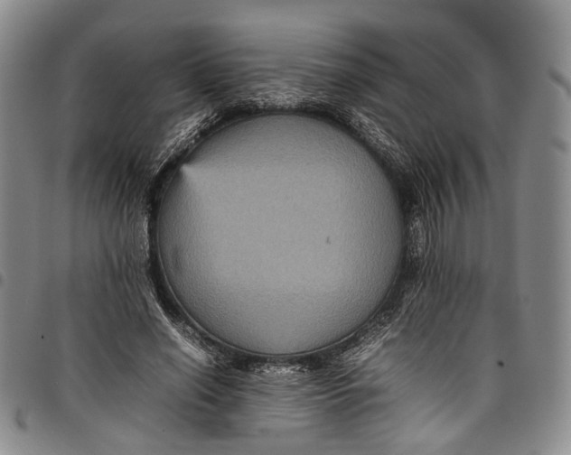 X0000098000638200804141208