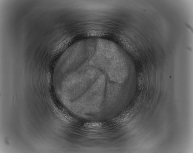 X0000098000639200804141208