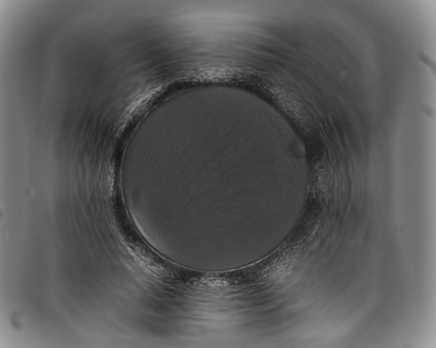 X0000098000640200804141208
