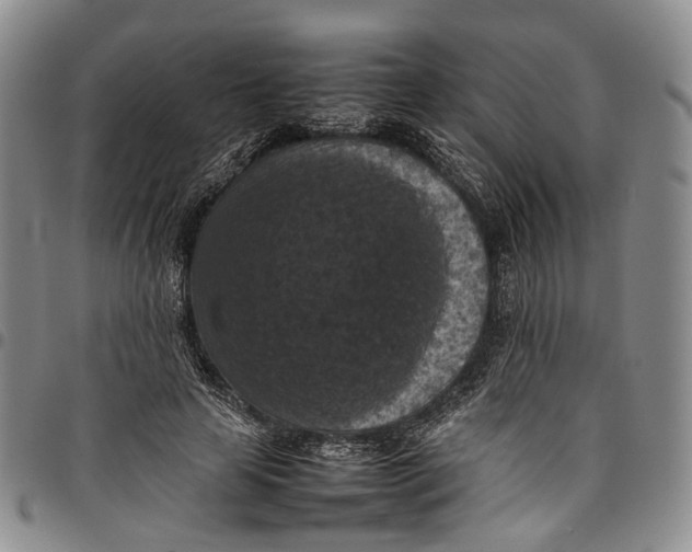 X0000098000641200804141208