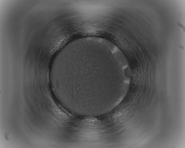 X0000098000642200804141208