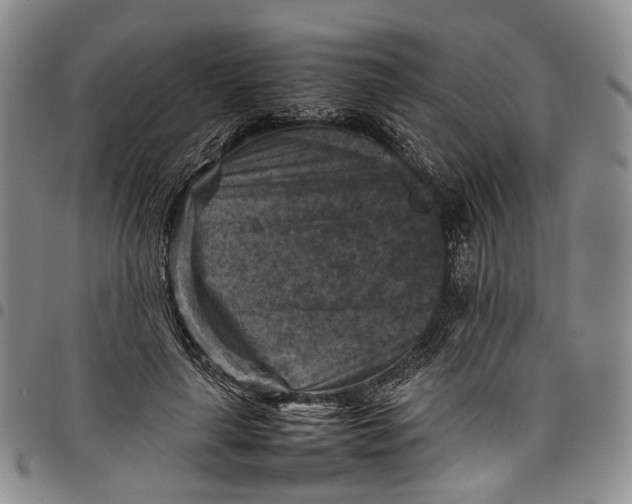 X0000098000643200804141208