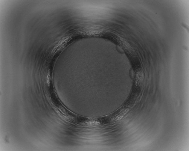 X0000098000644200804141208