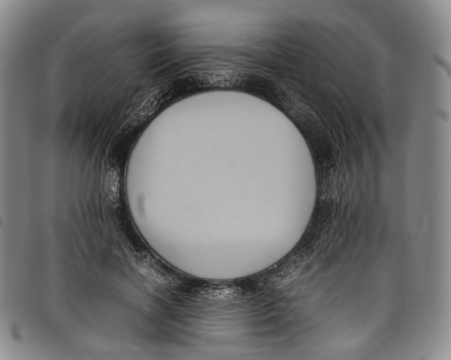 X0000098000646200804141208