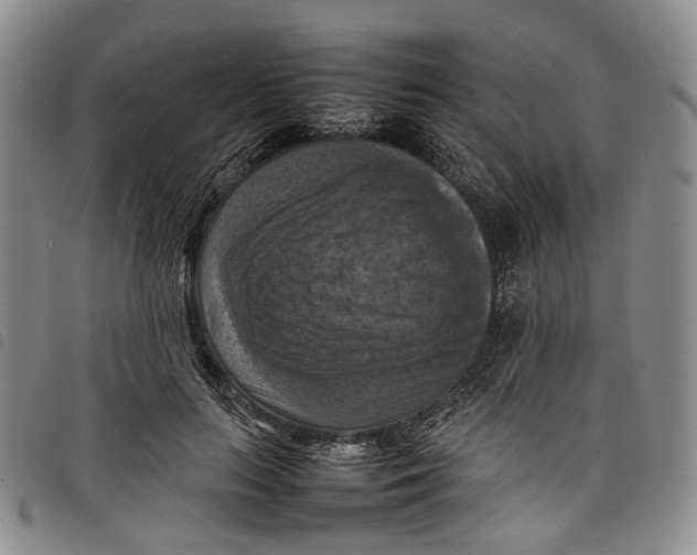 X0000098000647200804141208