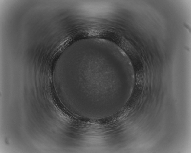 X0000098000648200804141208
