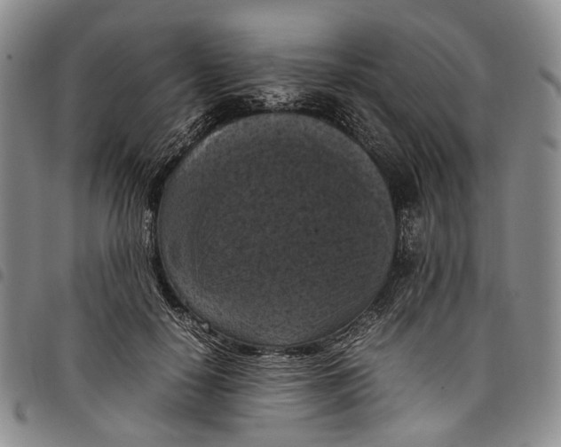 X0000098000650200804141208
