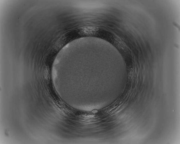 X0000098000651200804141208