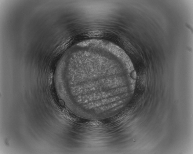X0000098000652200804141208