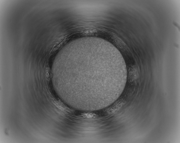 X0000098000654200804141208
