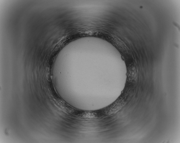 X0000098000656200804141208