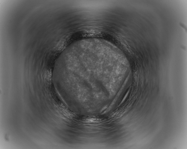 X0000098000657200804141208