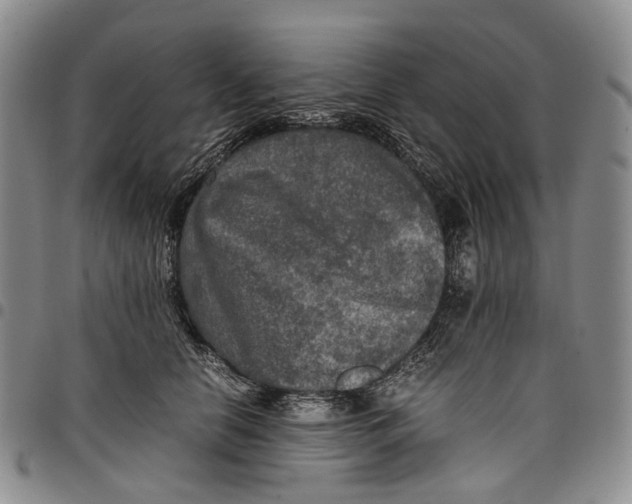 X0000098000658200804141208