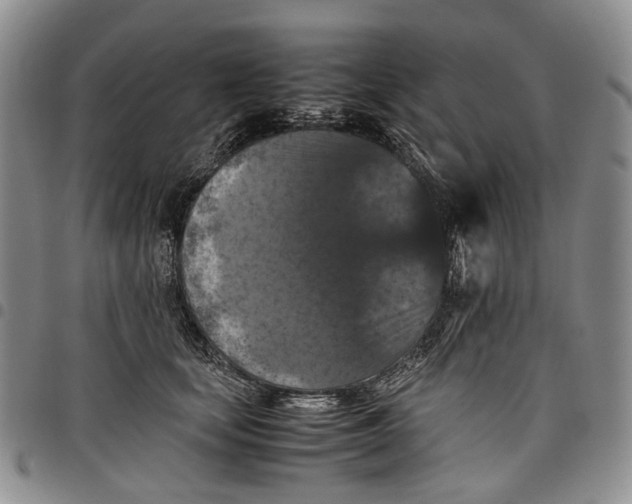 X0000098000659200804141208