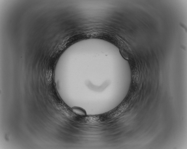 X0000098000660200804141208
