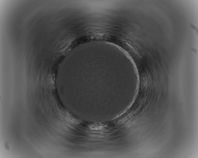 X0000098000661200804141208