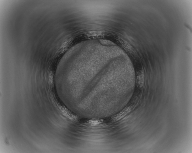 X0000098000662200804141208