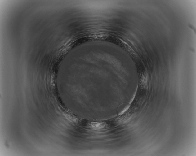 X0000098000663200804141208