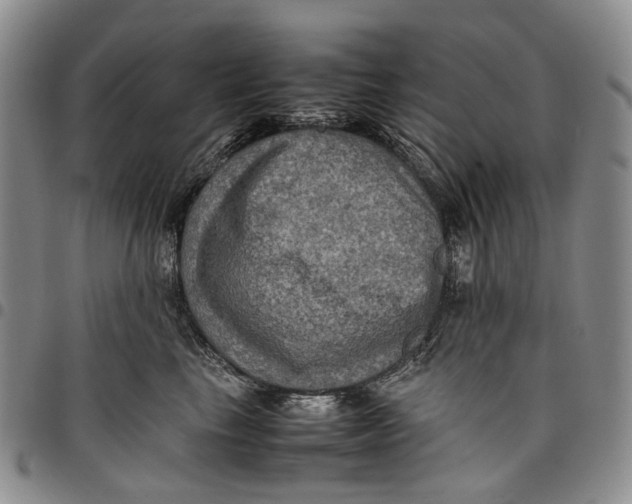 X0000098000665200804141208