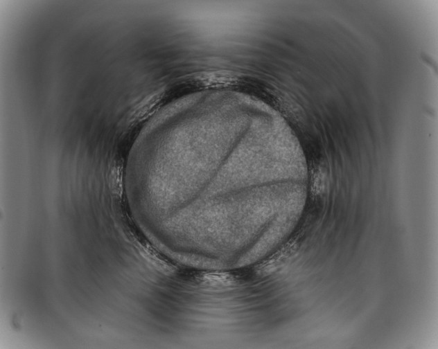 X0000098000666200804141208