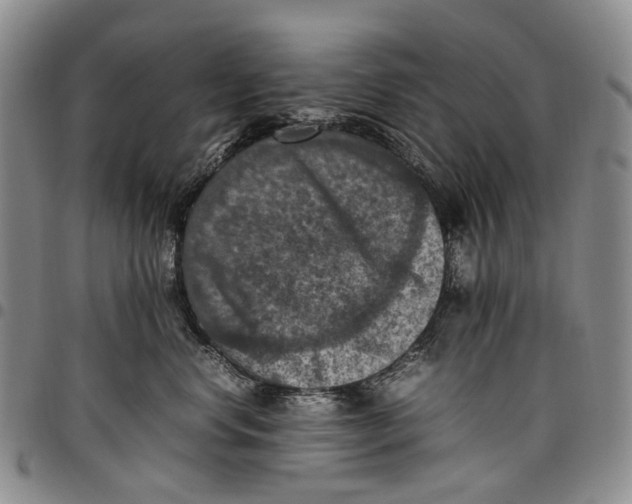 X0000098000668200804141208