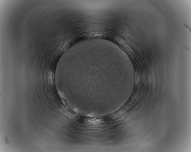 X0000098000669200804141208