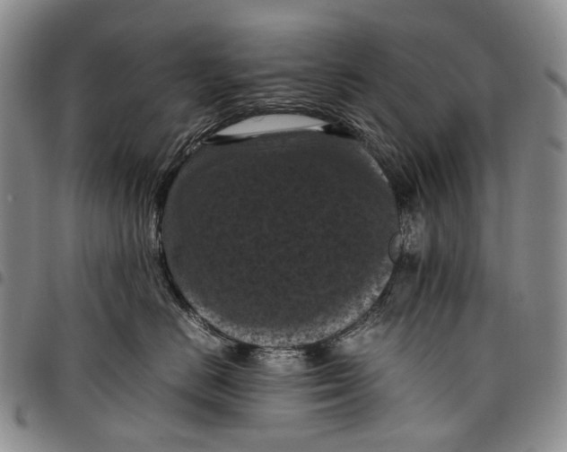 X0000098000670200804141208