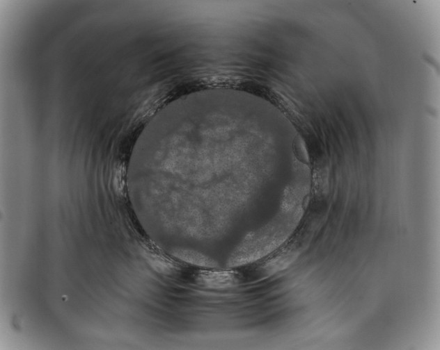 X0000098000671200804141208