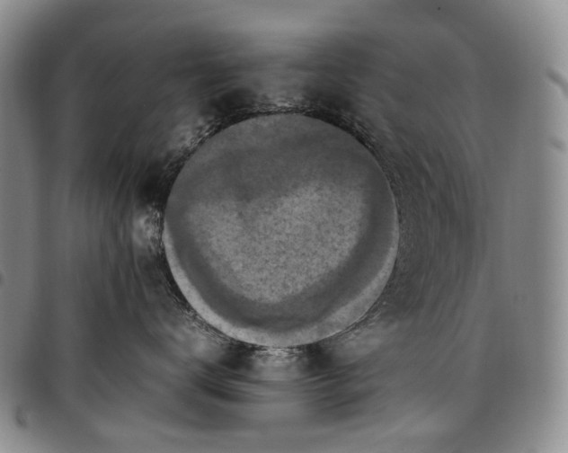 X0000098000672200804141208