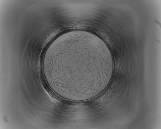 X0000098000674200804141207