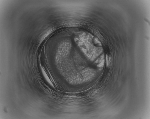 X0000098000675200804141207