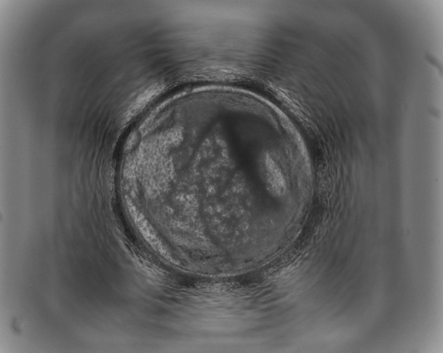 X0000098000679200804141207