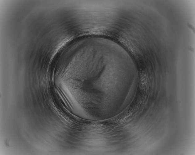 X0000098000680200804141207
