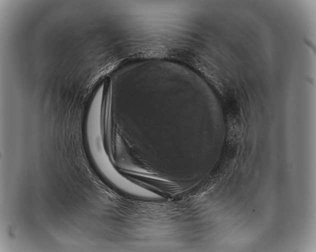 X0000098000681200804141207