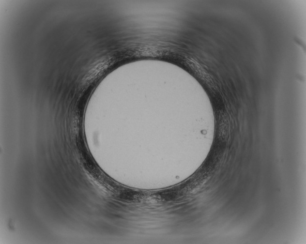 X0000098000683200804141207