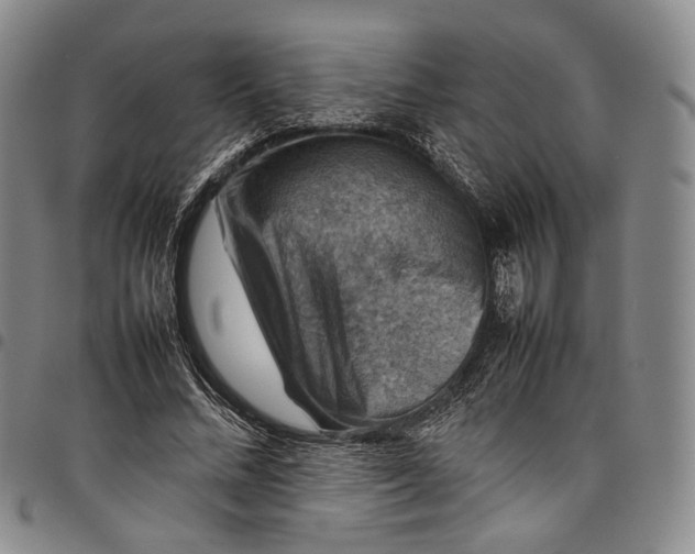 X0000098000684200804141207