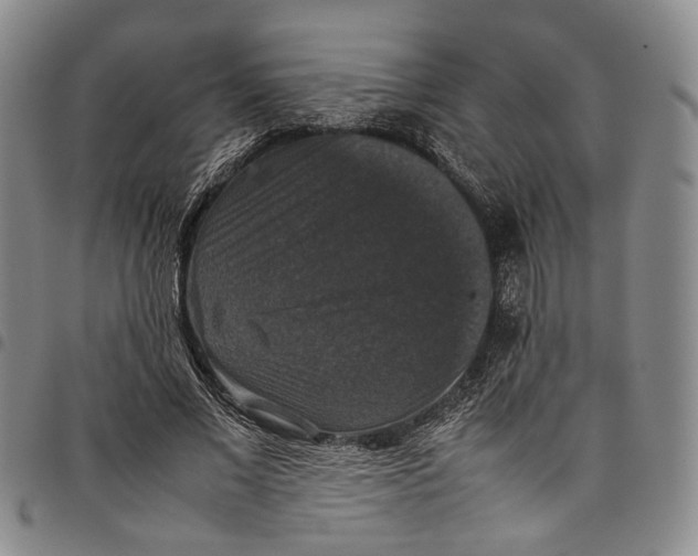 X0000098000685200804141207