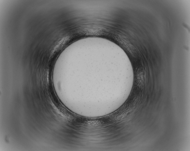 X0000098000686200804141207