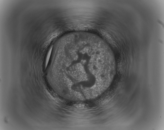 X0000098000687200804141207