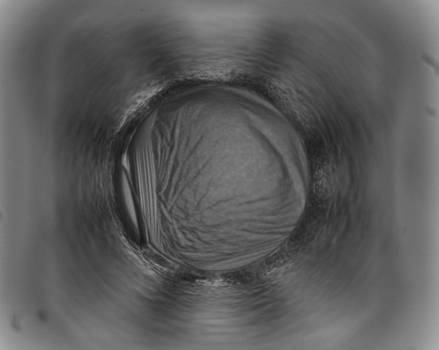 X0000098000688200804141207