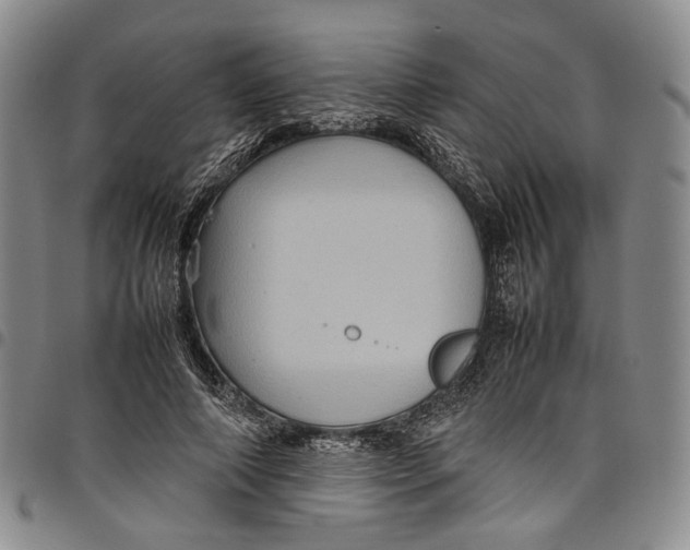 X0000098000690200804141207