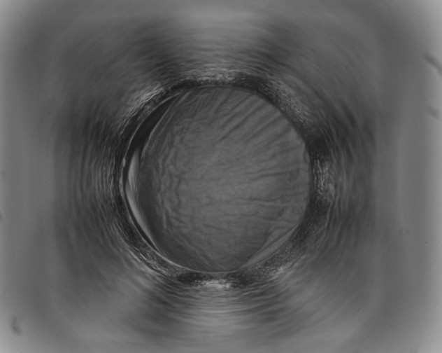 X0000098000692200804141207