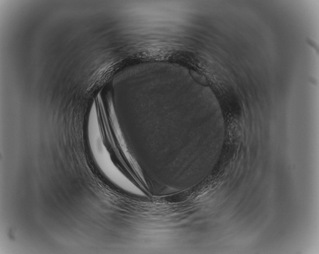X0000098000693200804141207