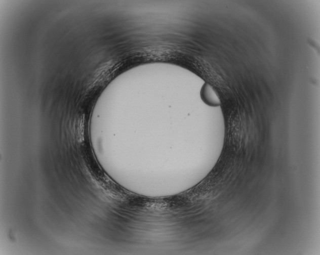 X0000098000694200804141207