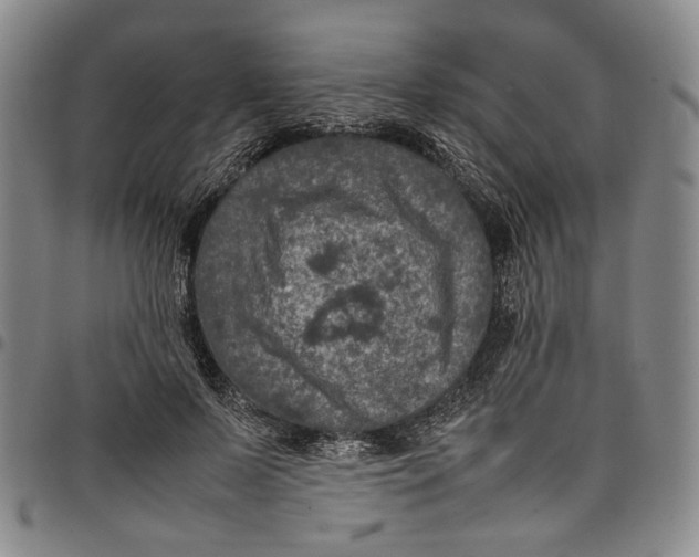 X0000098000695200804141207